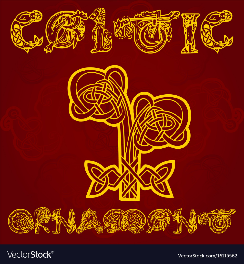 Celtic decorative ornament Royalty Free Vector Image