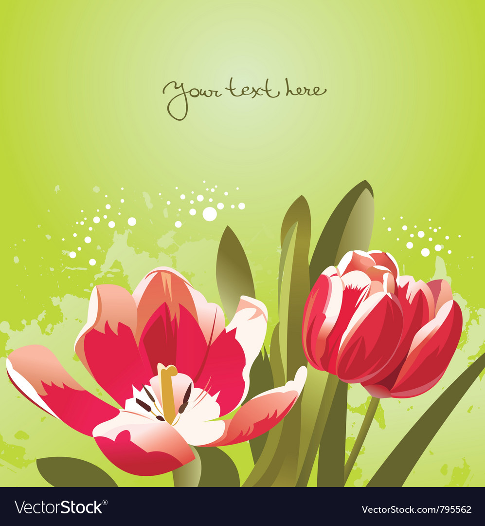 Floral background with tulips Royalty Free Vector Image