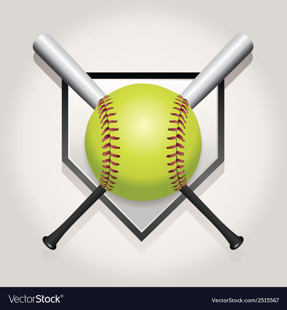 Softball bat plate