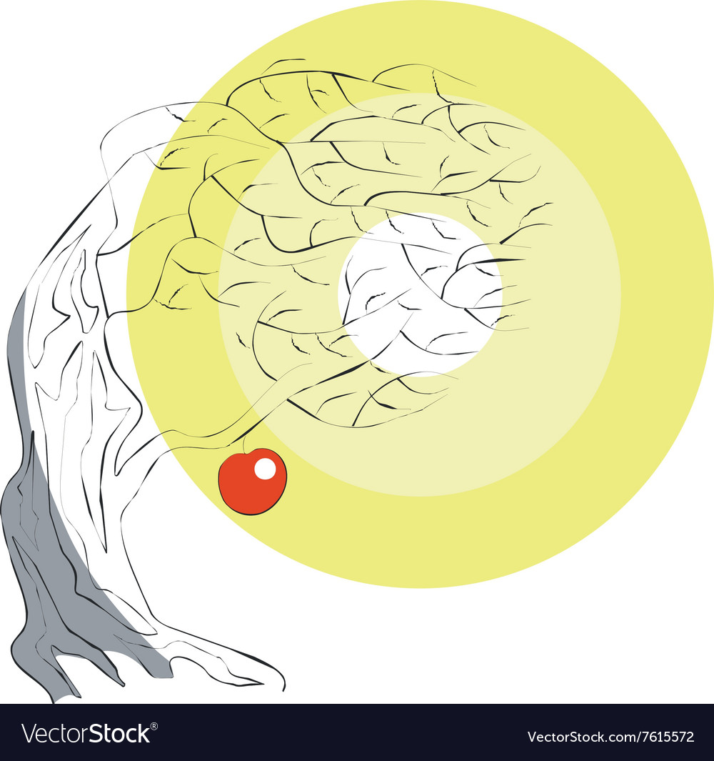 Apple tree color 02