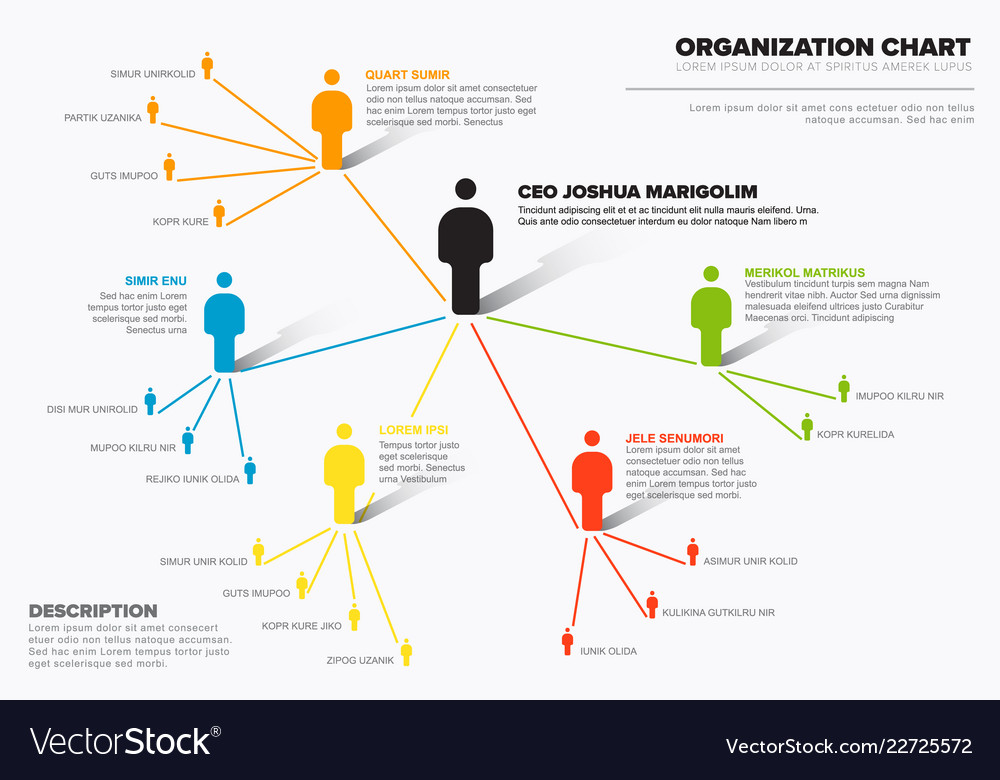 company organization hierarchy schema diagram vector image organization hierarchy