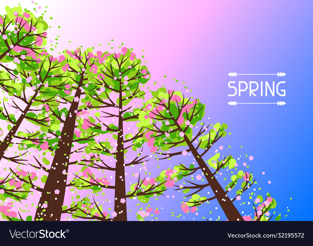 Spring forest background with stylized trees vector image Spring forest background with stylized trees