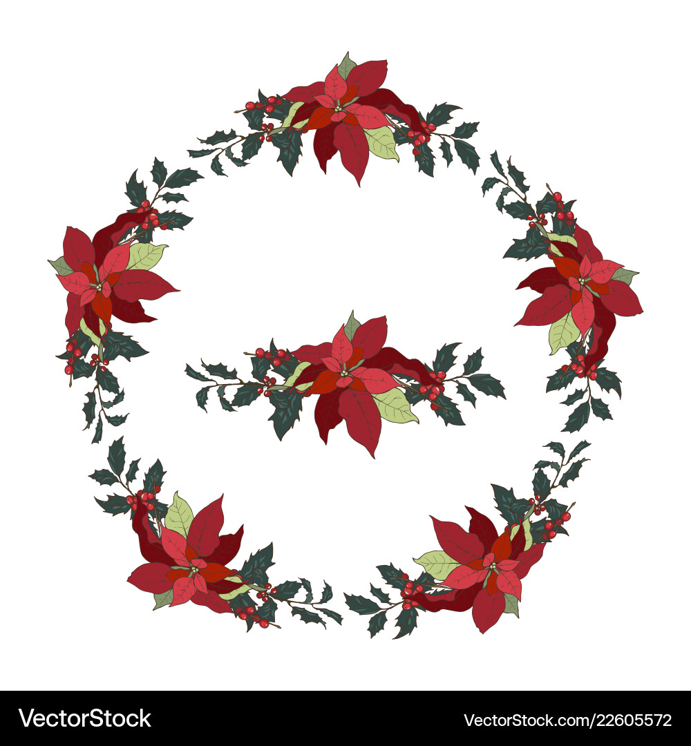 Wreath with traditional christmas plants Vector Image