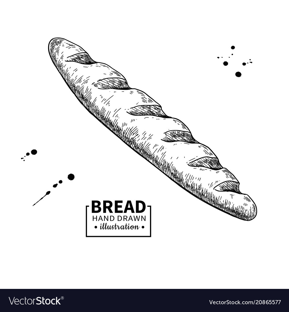 Baguette bread drawing bakery product Royalty Free Vector