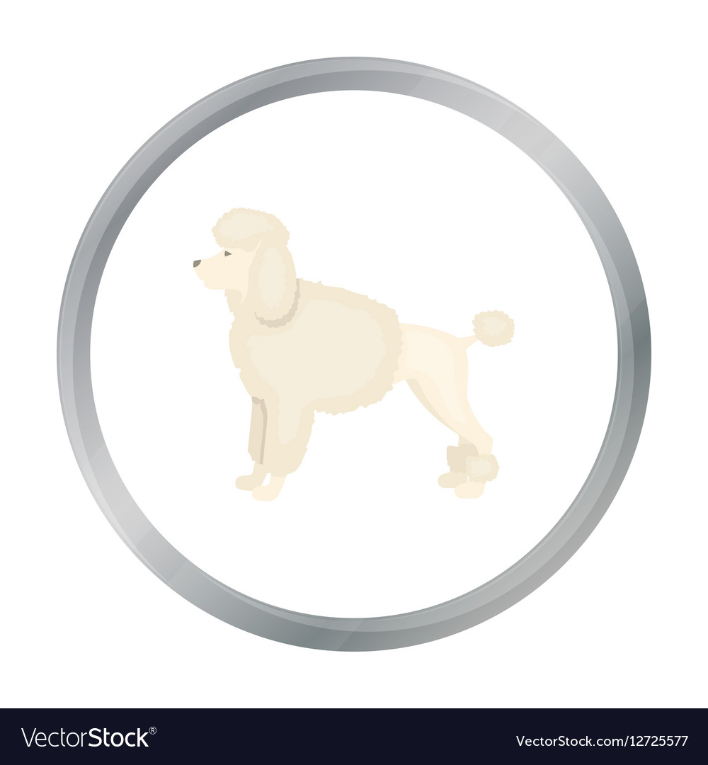 Poodle icon in cartoon style for web