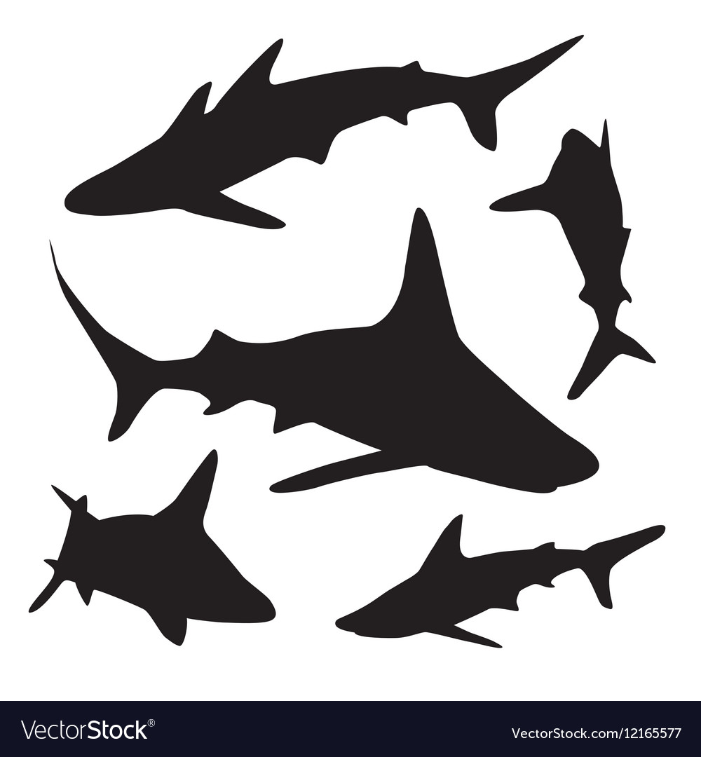 Shark silhouettes set Royalty Free Vector Image