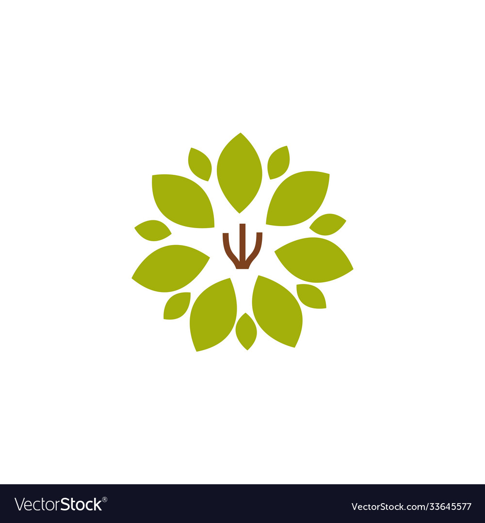 Tree template design vector image Tree template design