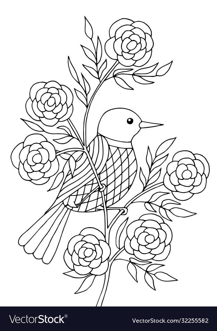 Bird Sitting On A Branch Coloring Page Royalty Free Vector