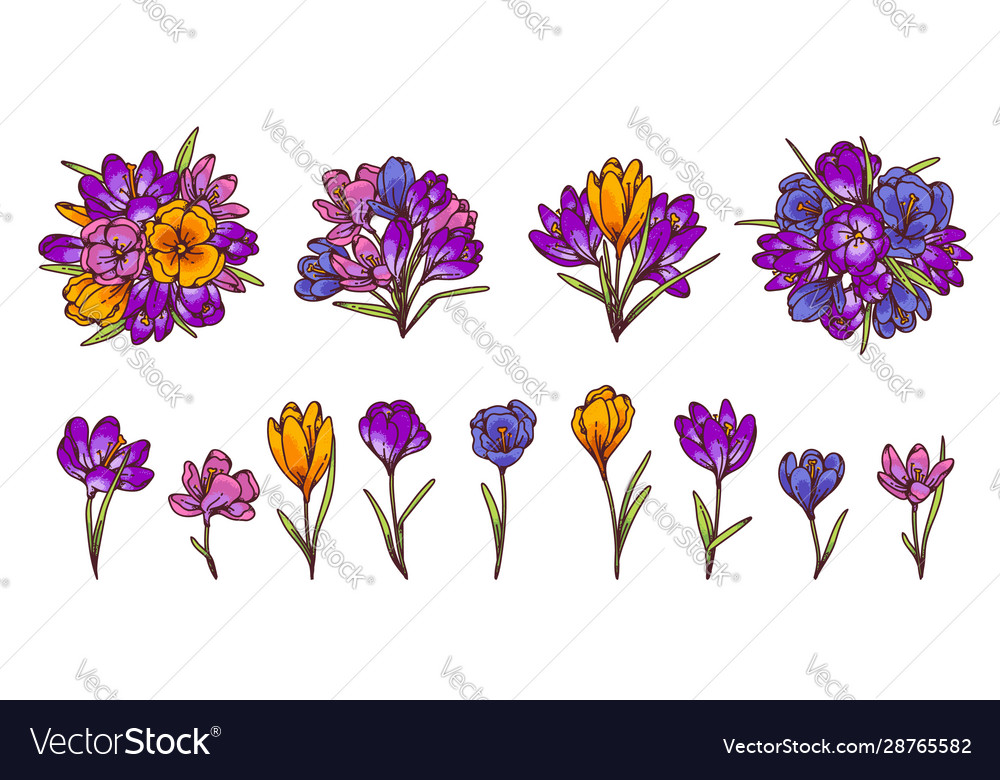 Crocus Blumen und Sträuße Frühlingskerzen Set