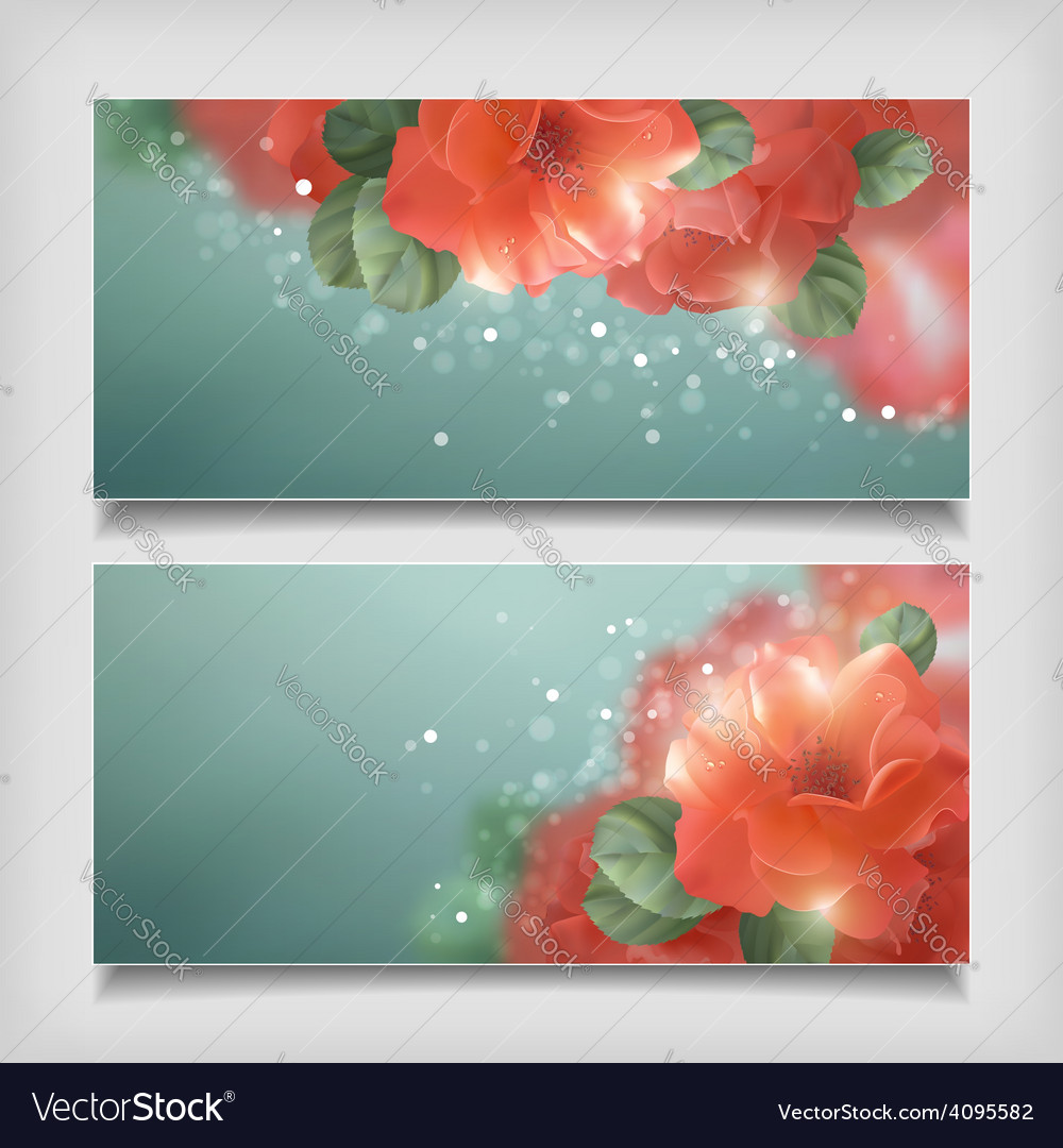 Shining flowers roses banner