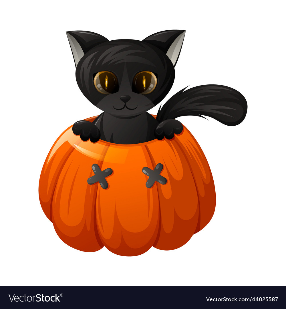 Cute black cat in a halloween pumpkin