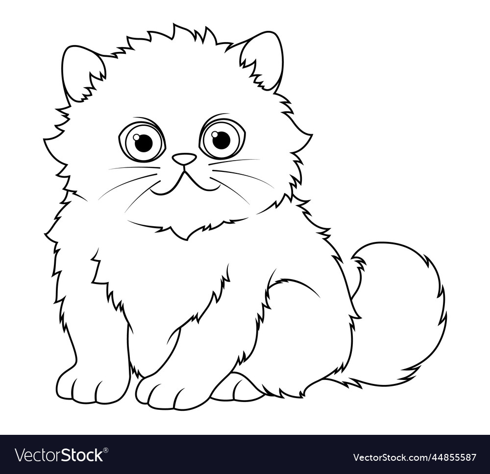 Little persian cat cartoon animal bw