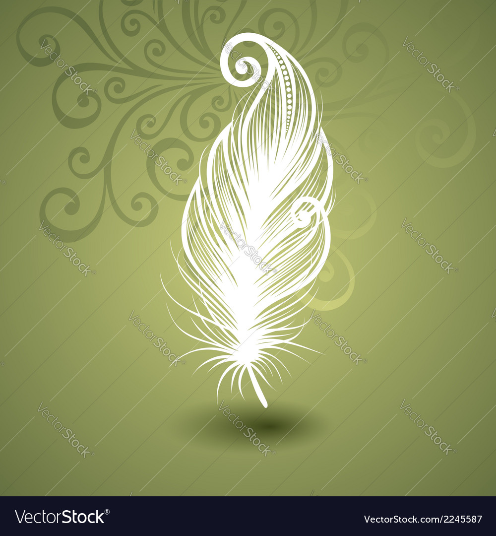Ornate Feather Background