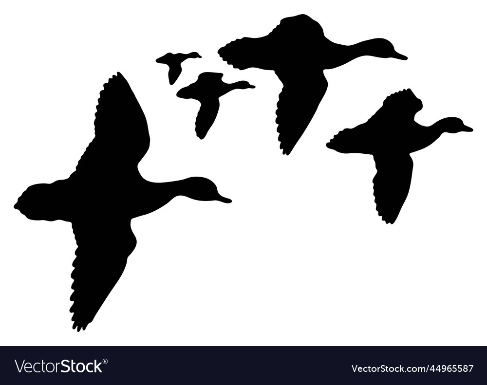 ducks landing silhouette