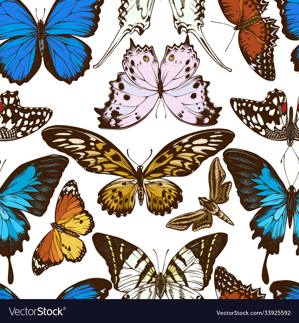 Seamless pattern with hand drawn colored giant Vector Image