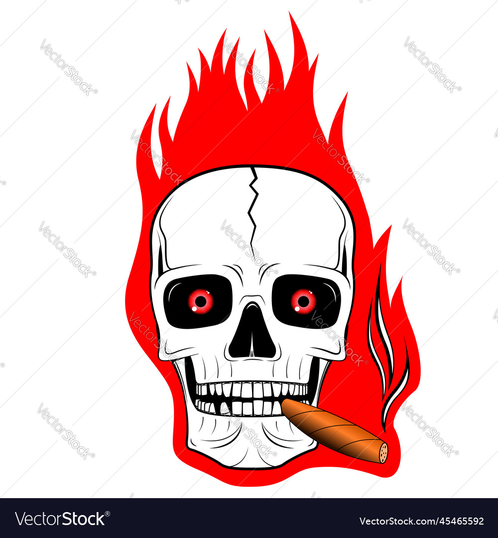 Skull - flames Royalty Free Vector Image - VectorStock