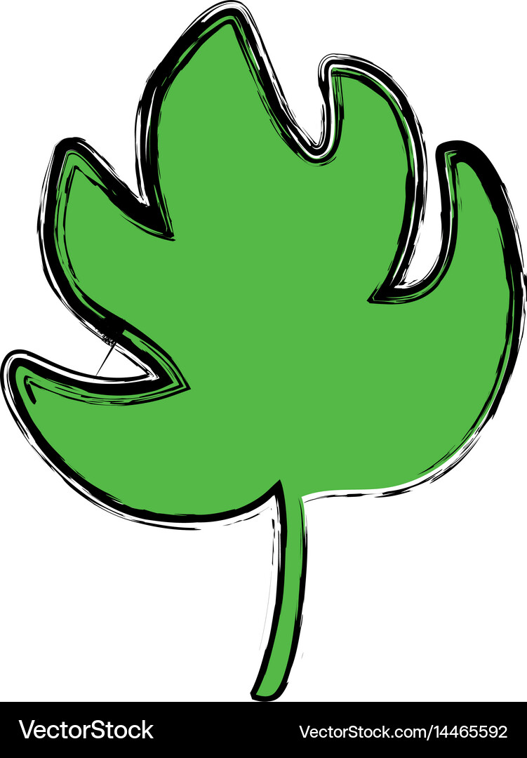 Tropical leaf icon Royalty Free Vector Image - VectorStock