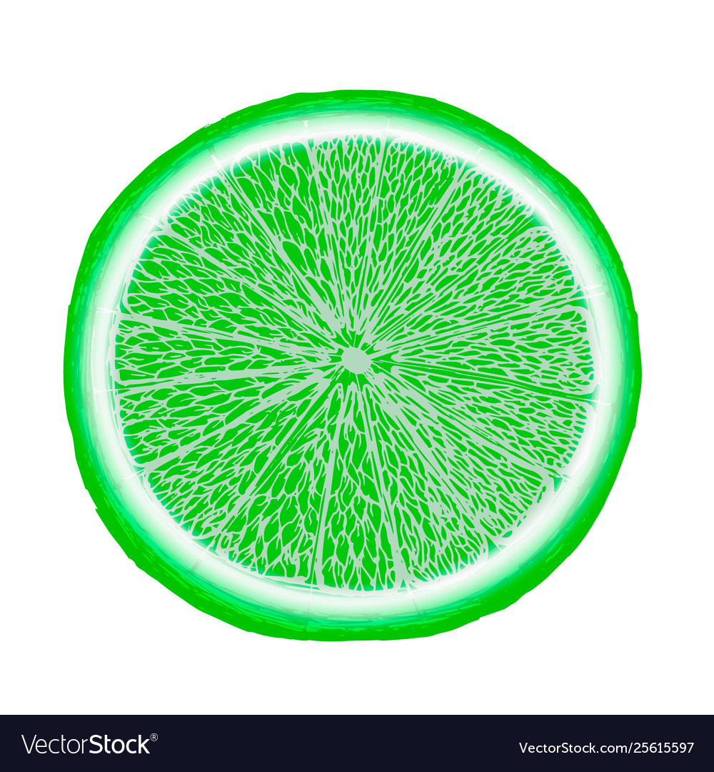 Fresh ripe slice lime on white healthy