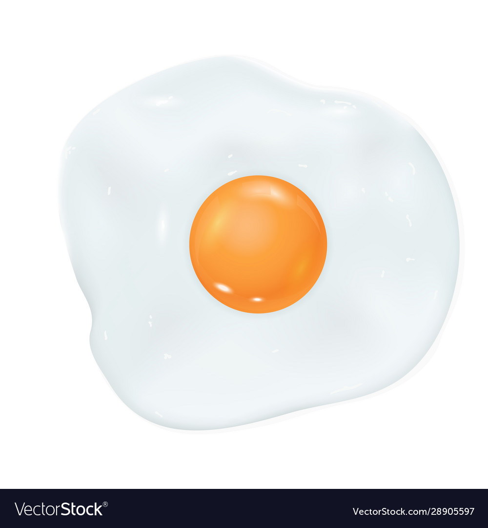 Fried egg Royalty Free Vector Image - VectorStock