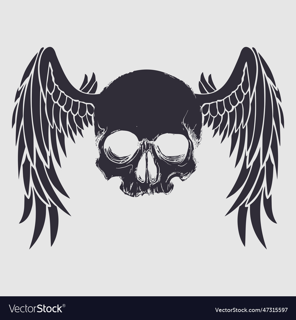 Skull and wings design Royalty Free Vector Image