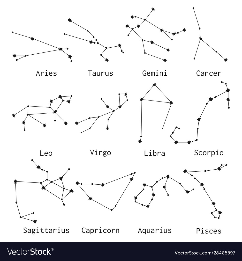 Twelve signs zodiac constellations Royalty Free Vector Image