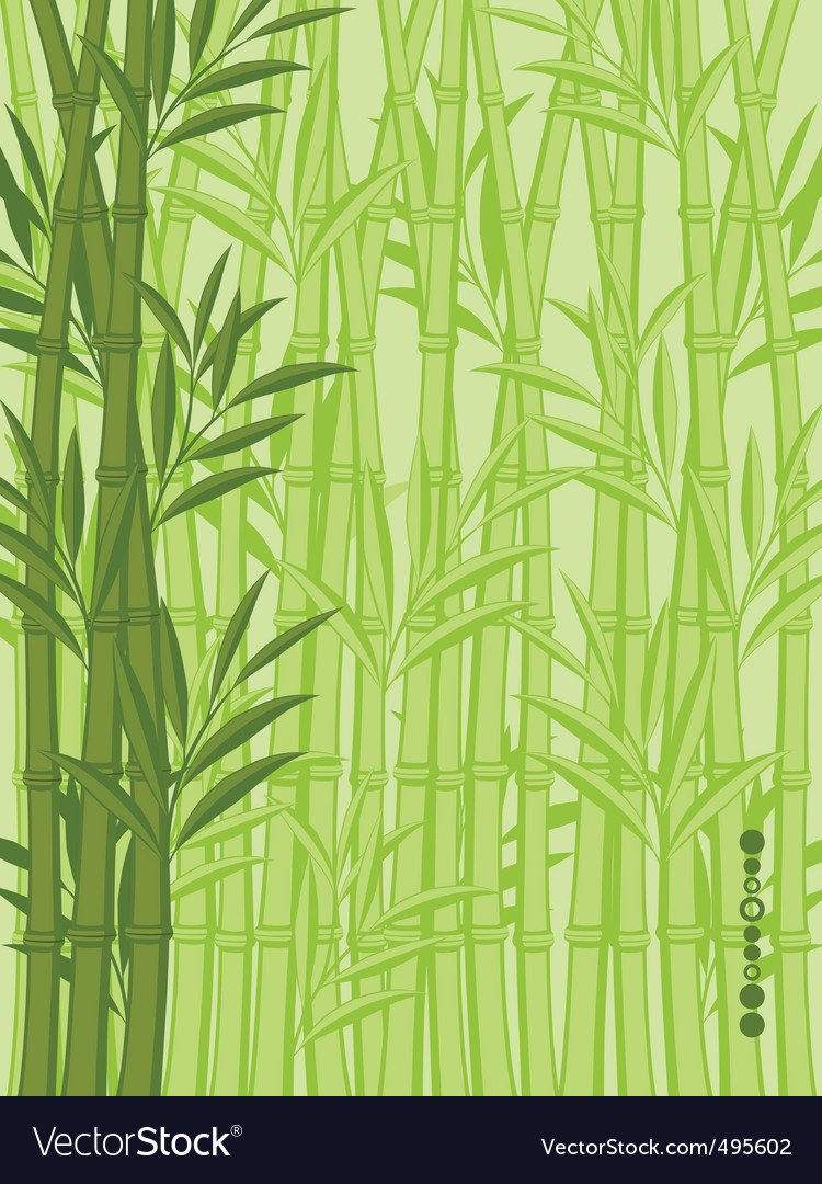 Bamboo background Royalty Free Vector Image - VectorStock