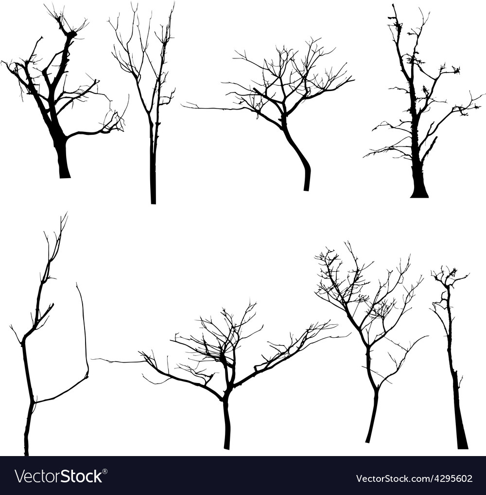 Black silhouette of a bare tree