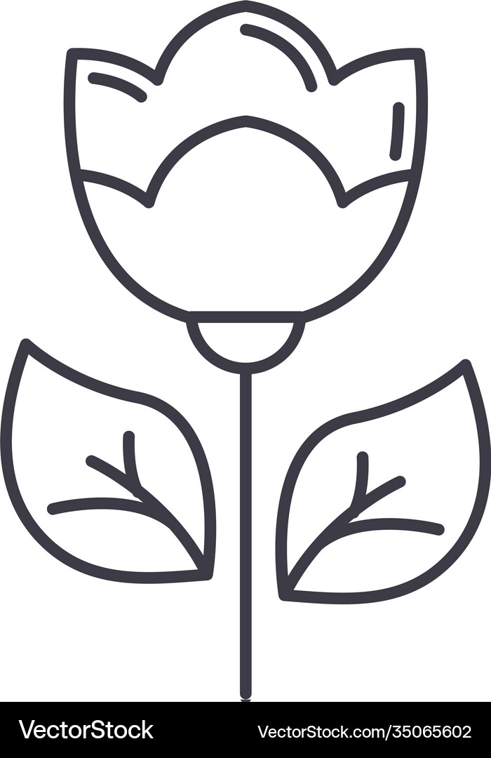 Flower icon linear isolated thin Royalty Free Vector Image