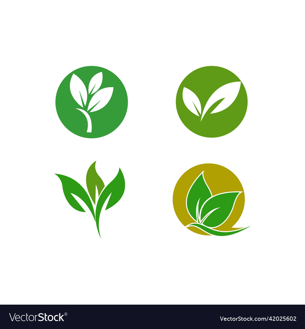 Leaf logo Royalty Free Vector Image - VectorStock