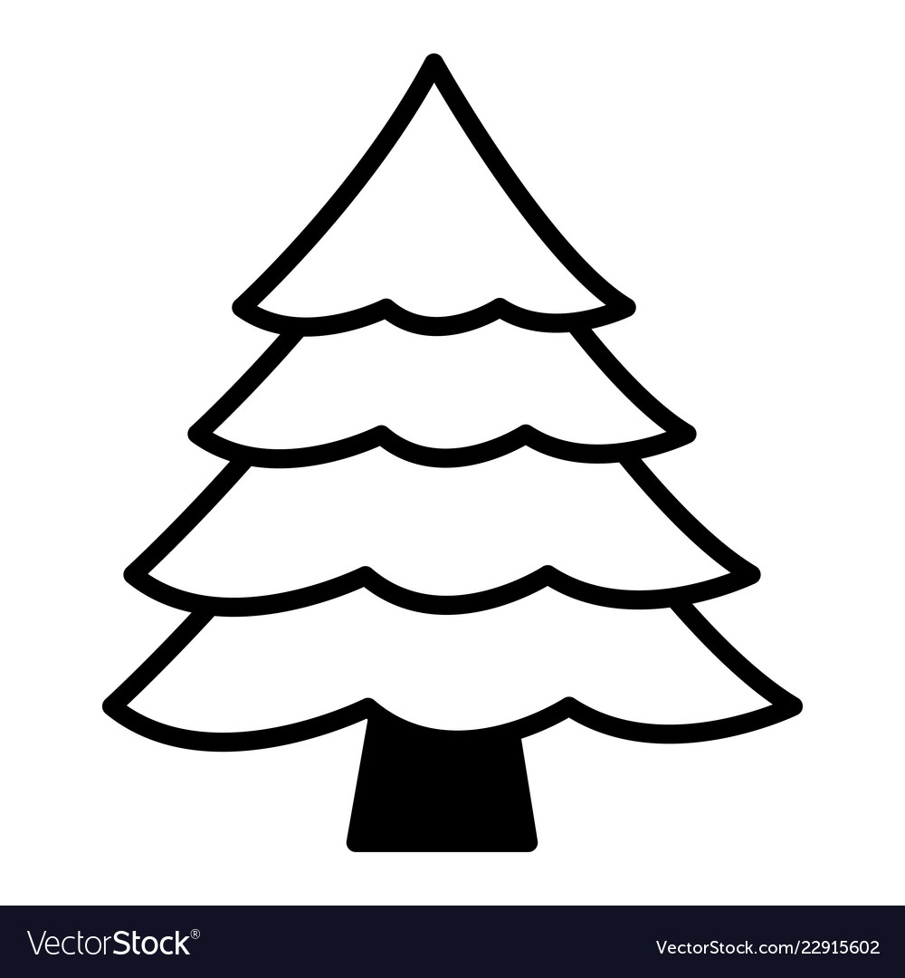 Pine tree on white background