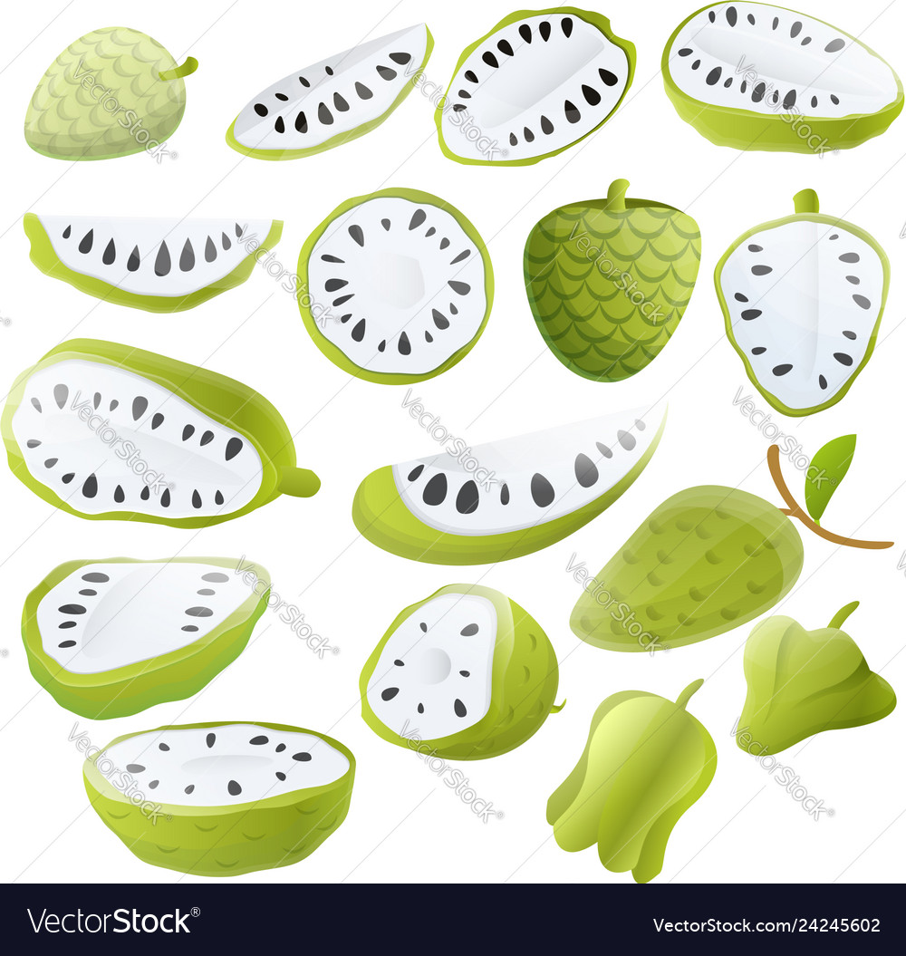 Soursop icons set cartoon style Royalty Free Vector Image