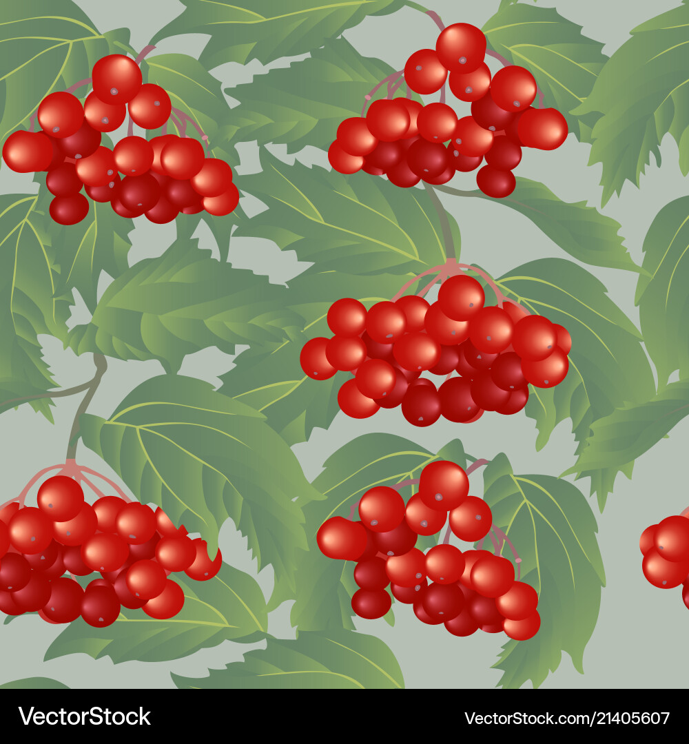 Viburnum seamless pattern Royalty Free Vector Image