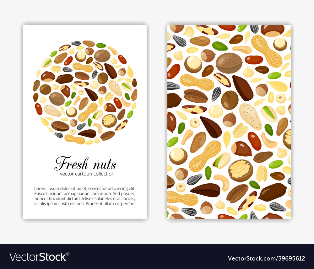 Card templates with nuts and seeds royalty free vector image