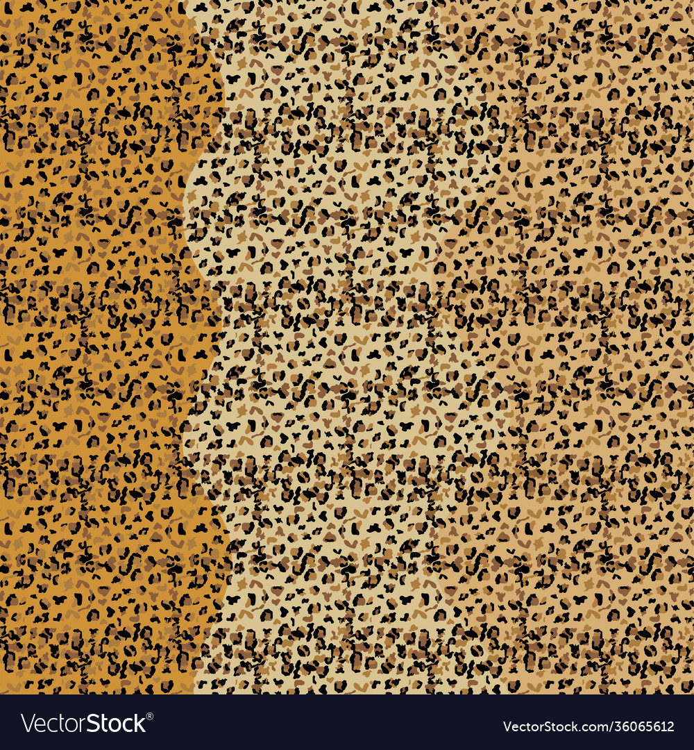 Leopard seamless pattern design background vector image Leopard seamless pattern design background