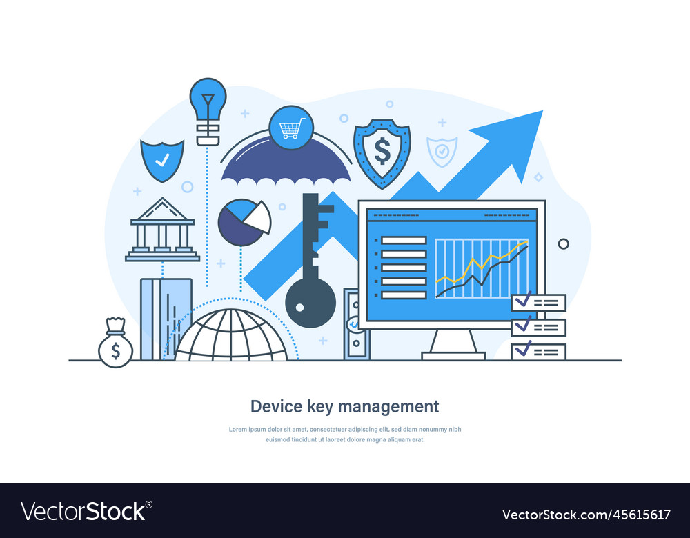 Device key management website and safety Vector Image
