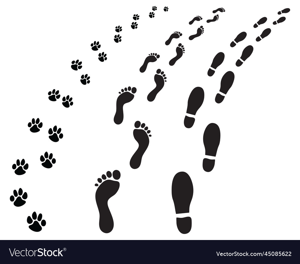 Footprints of man and dog Royalty Free Vector Image