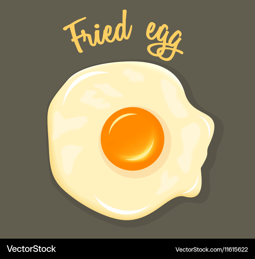 Fried egg breakfast Royalty Free Vector Image - VectorStock