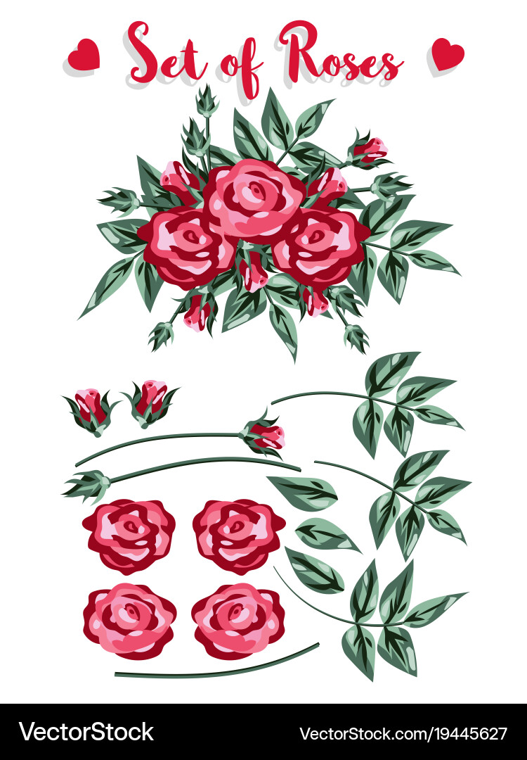 Flower set Royalty Free Vector Image - VectorStock