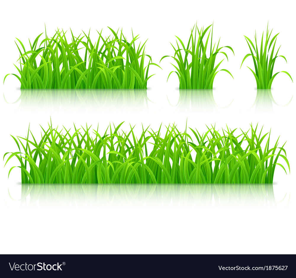 Green Grass Royalty Free Vector Image Vectorstock 0750