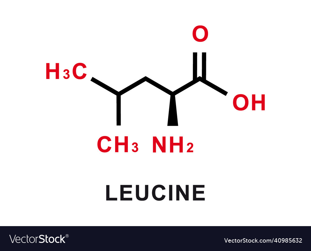 Leucine chemical formula