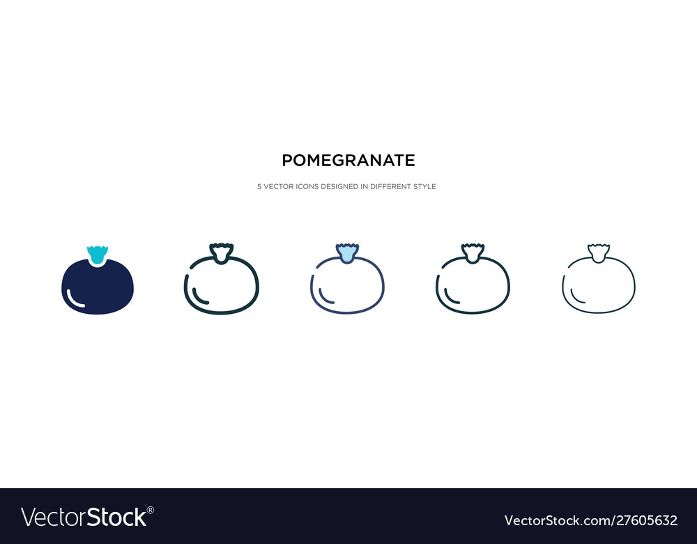 Pomegranate icon in different style two colored