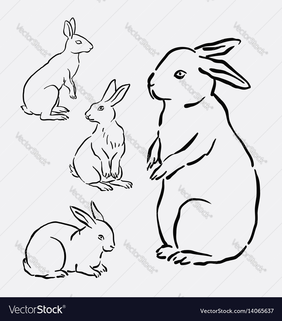 Rabbit bunny hand drawing style Royalty Free Vector Image