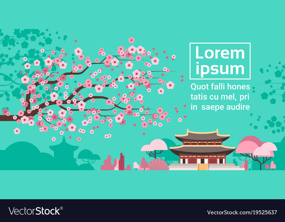 Sakura blossom over korea temple or palace