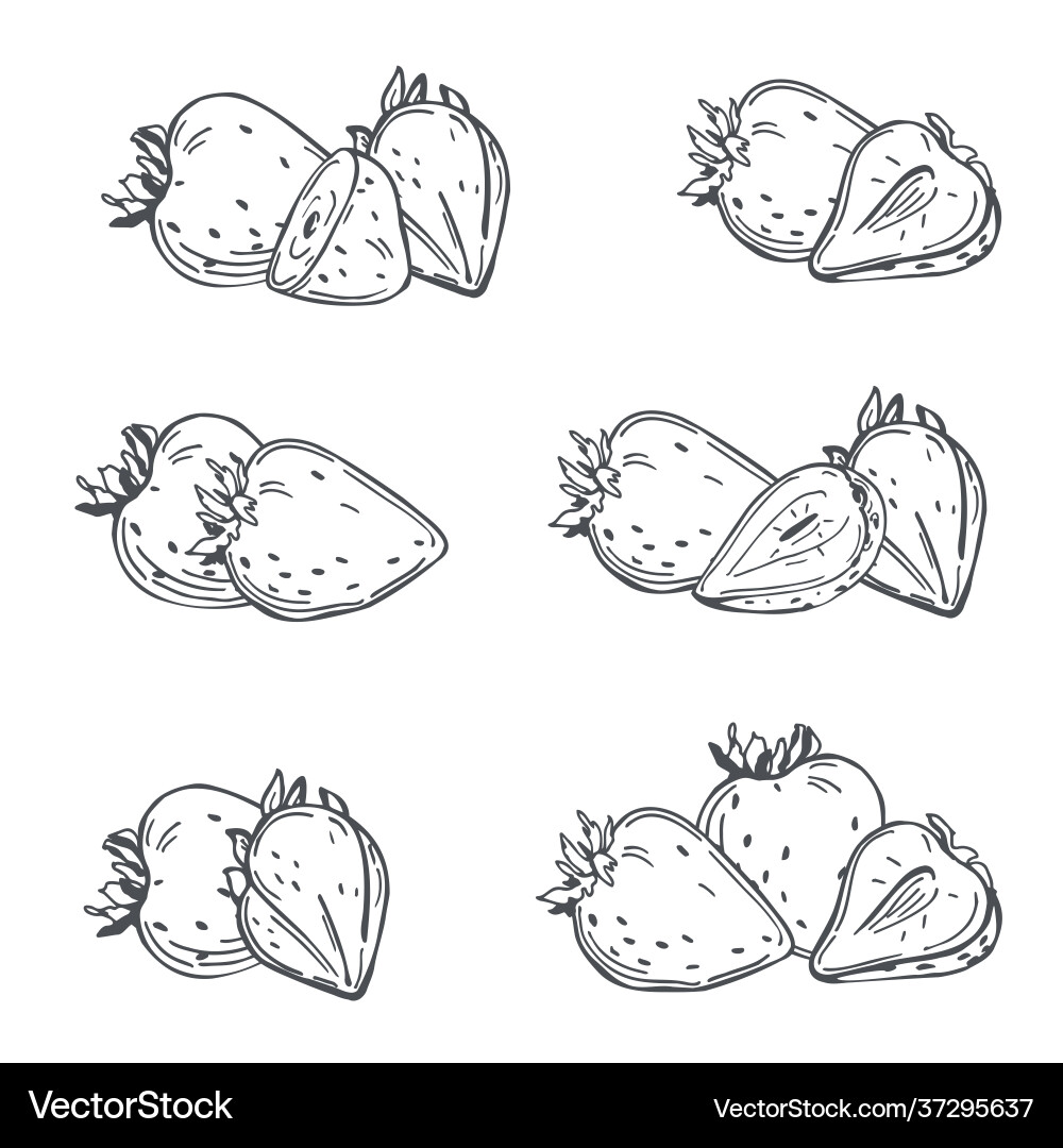 Strawberry Royalty Free Vector Image - VectorStock