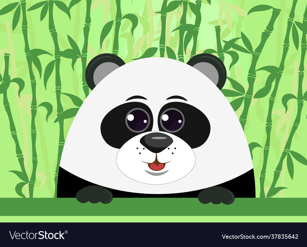 Panda on bamboo background for poster flyers