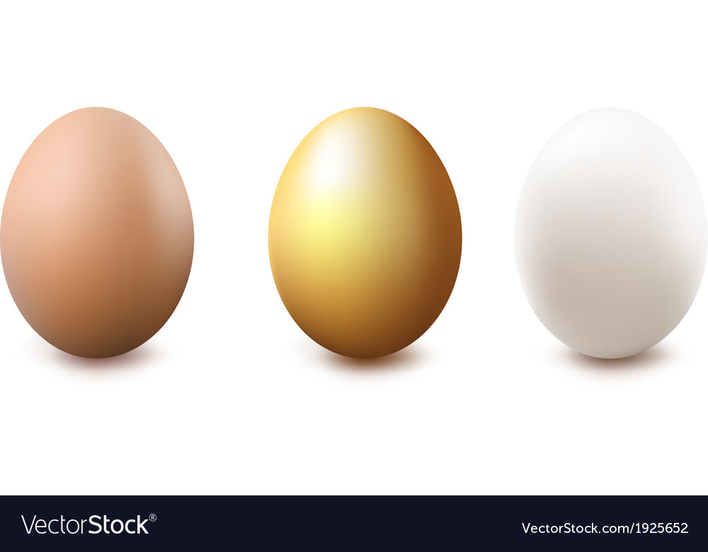 Next egg