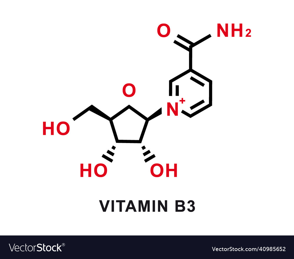 Vitamin b3 chemical formula b3 chemical Royalty Free Vector