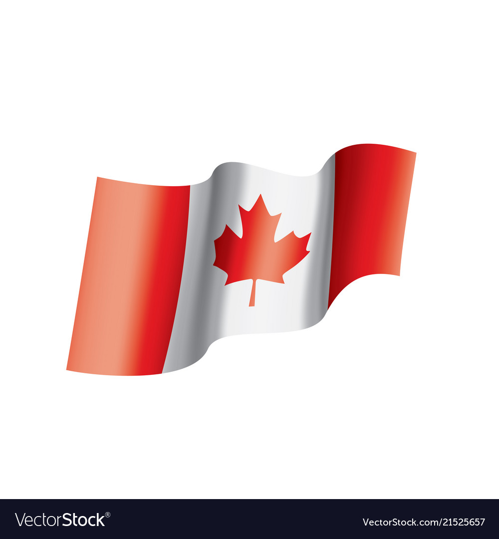 Canada flag on a white Royalty Free Vector Image