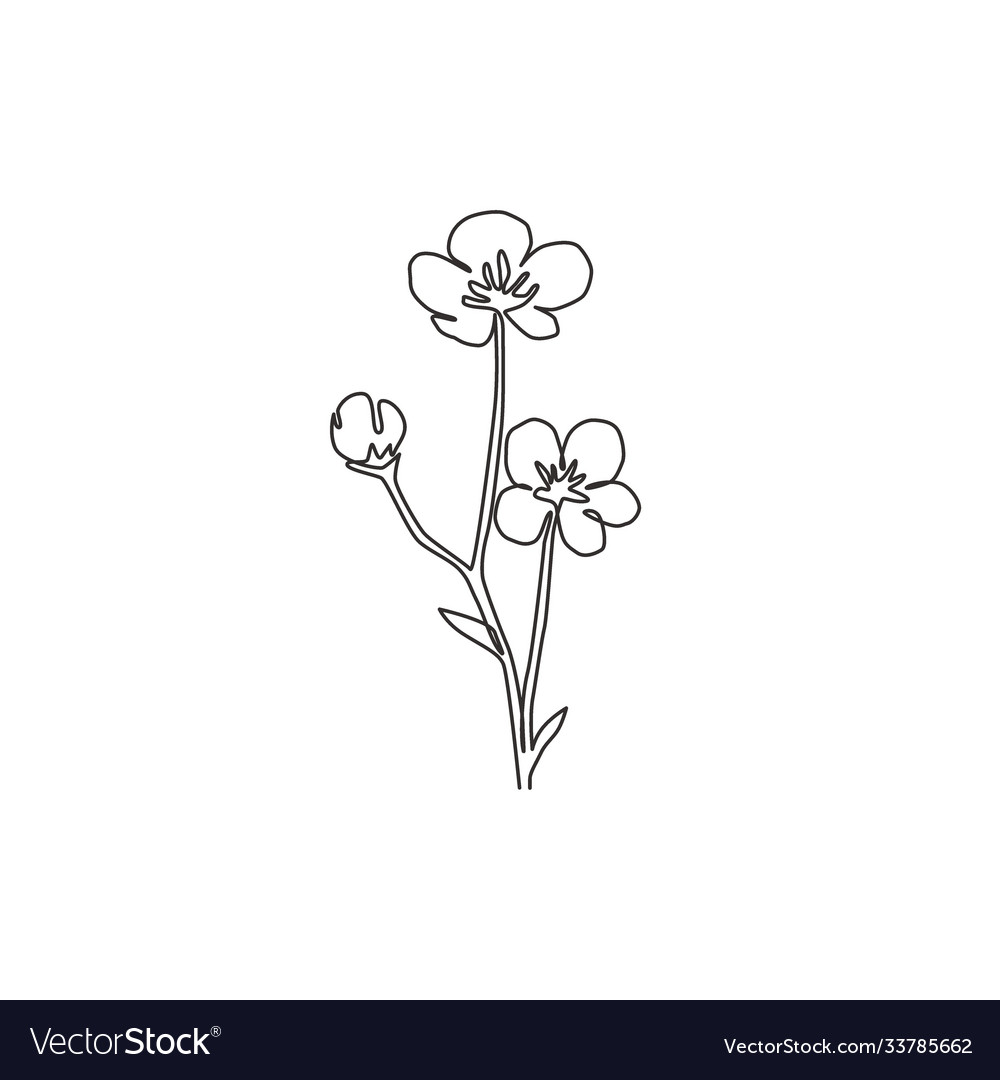 Single One Line Drawing Beauty Fresh Royalty Free Vector