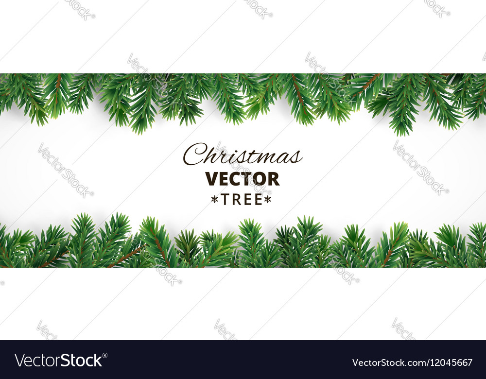 Banner With Christmas Tree Branches And Vector Image Banner With Christmas Tree Branches And Vector Image
